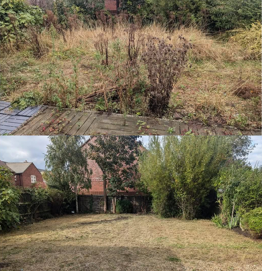 before and after of a brush cleaning job