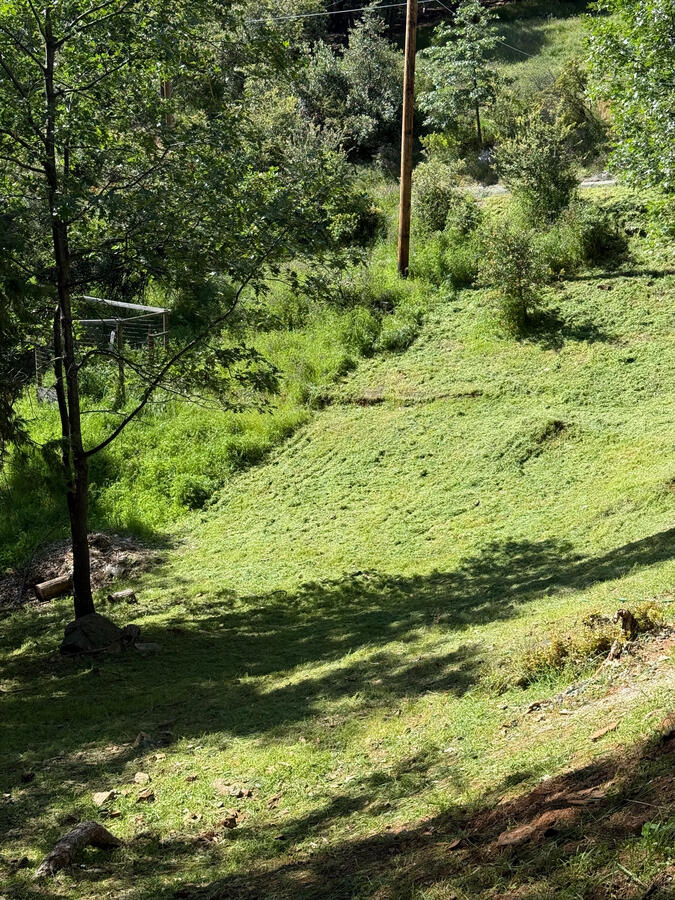 brush clearance in cedar ridge