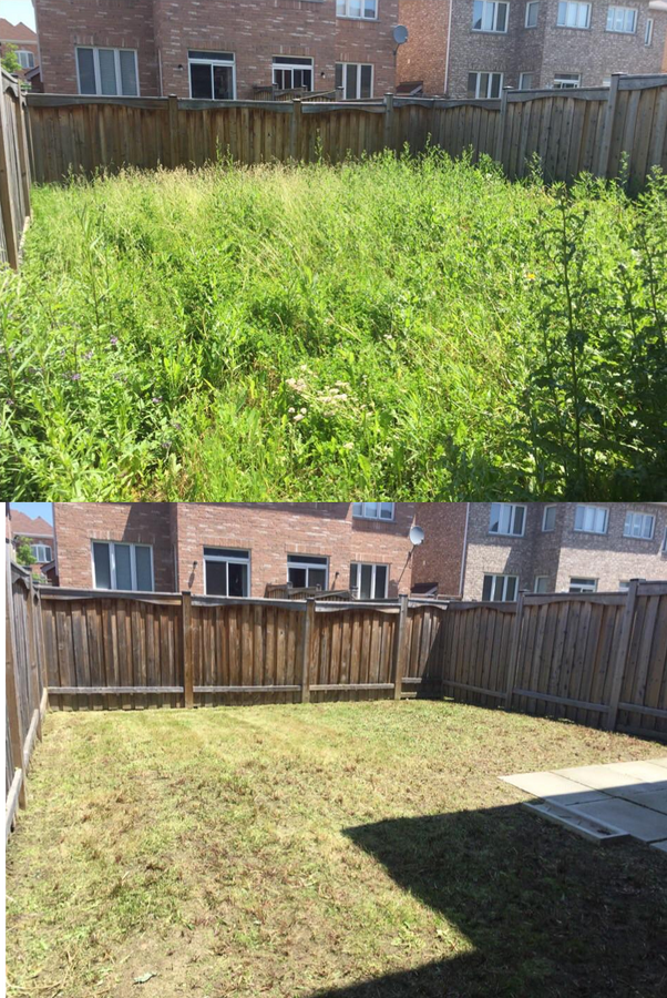 before and after hauling and weedwacking job in town