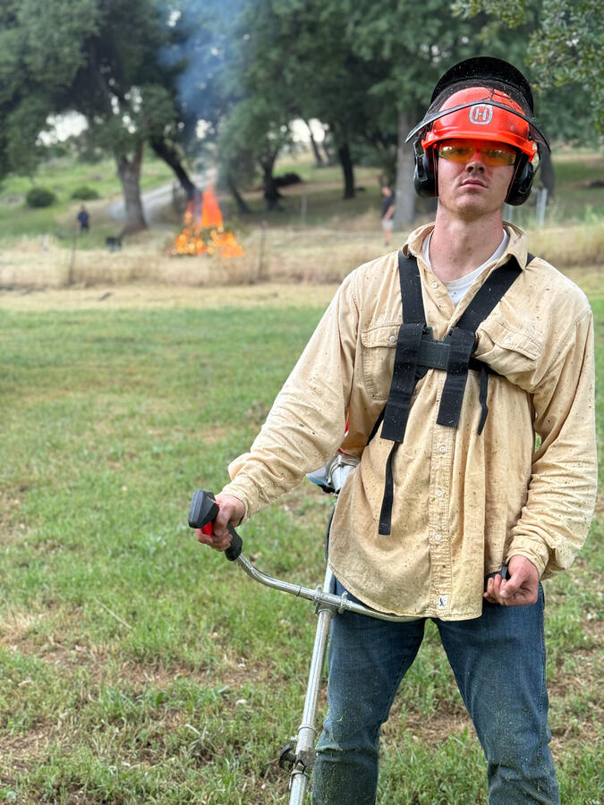 brush clearance and hauling job in jamestown