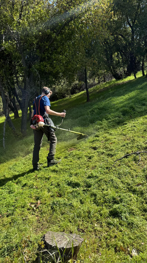 livi landscaping maintenance in Tuolumne county and the motherlode