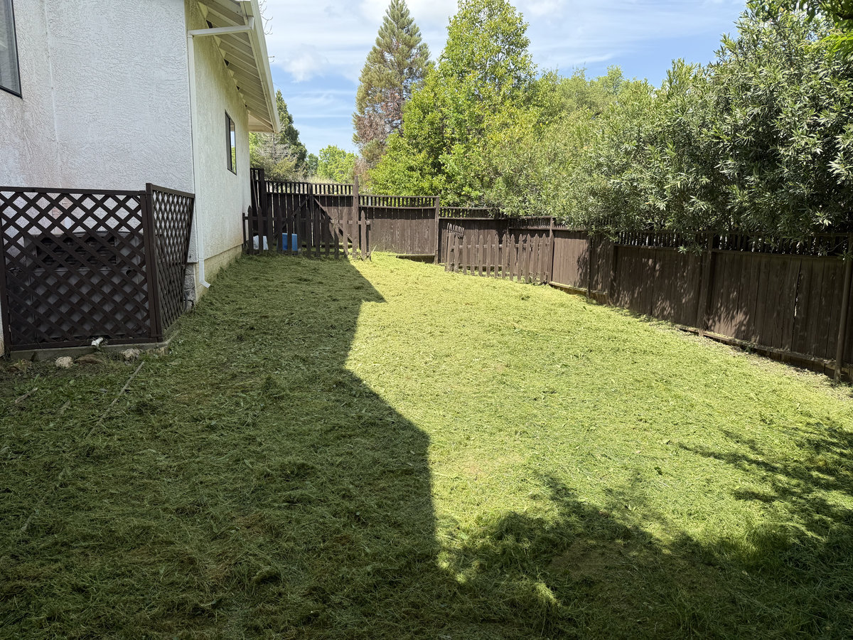 After weedwacking by Wacky Weedeating in Tuolumne County