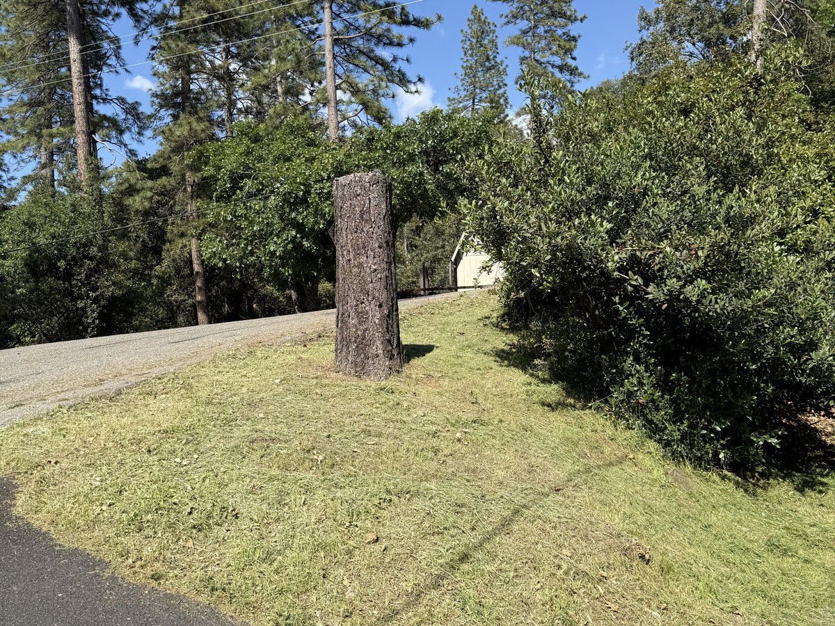 After: Front yard mowed by Wacky Weedeating