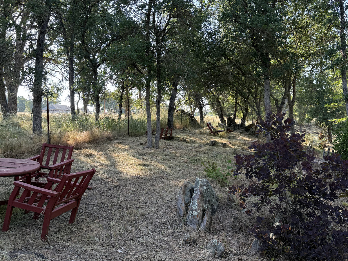 After: Field cleared for fire safety