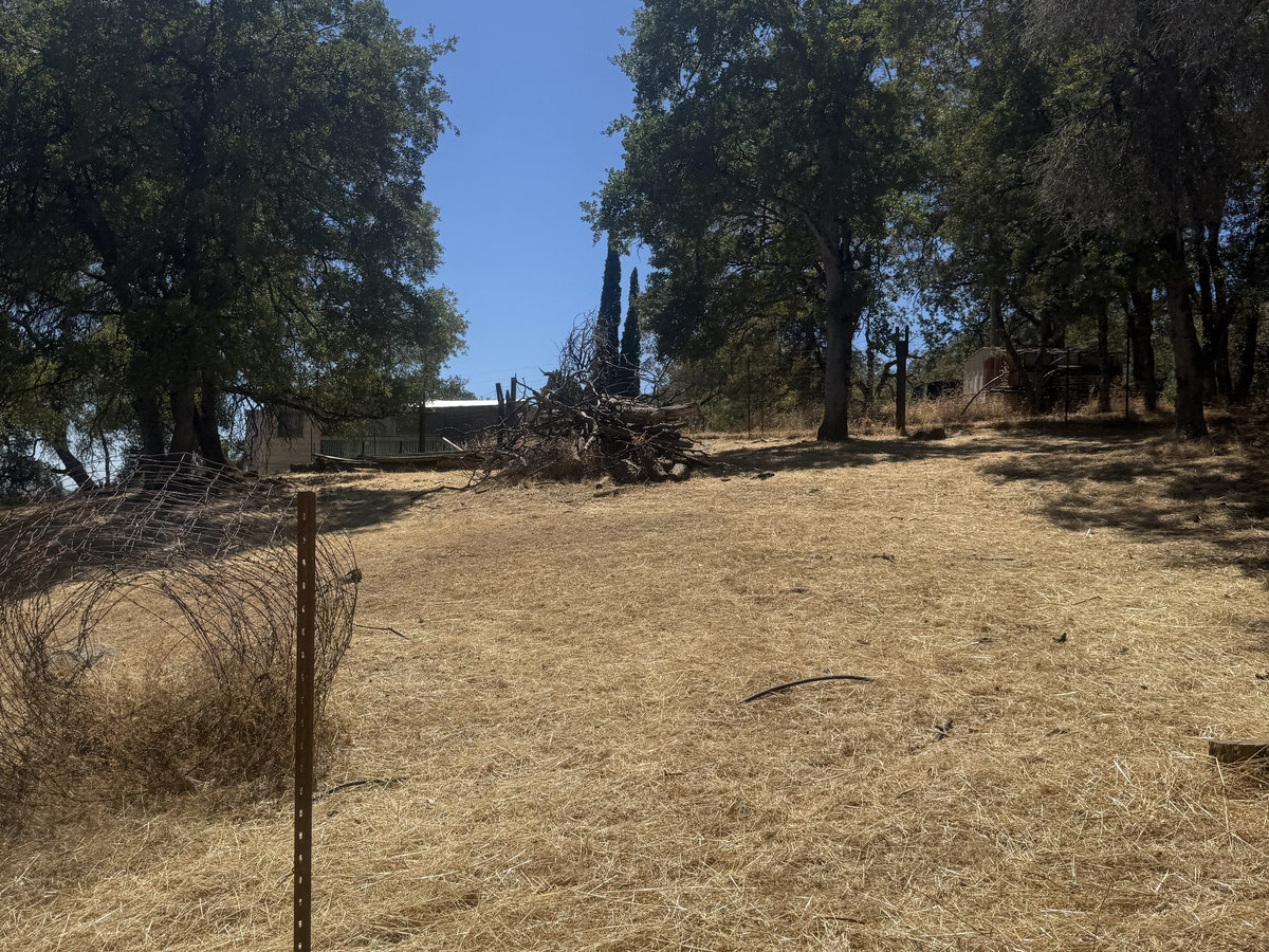 Property after clearing by Wacky Weedeating