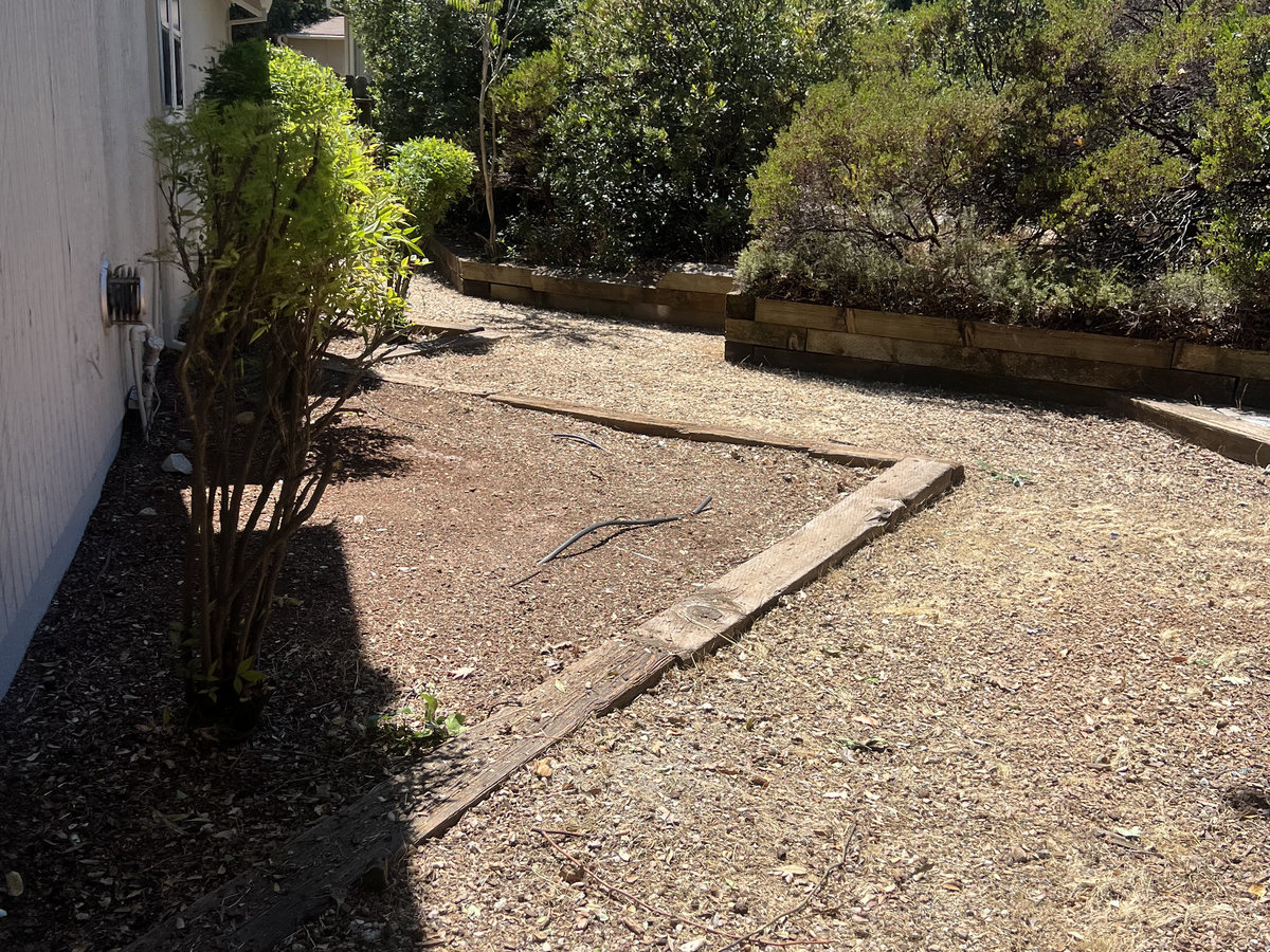 After: Side yard cleared by Wacky Weedeating