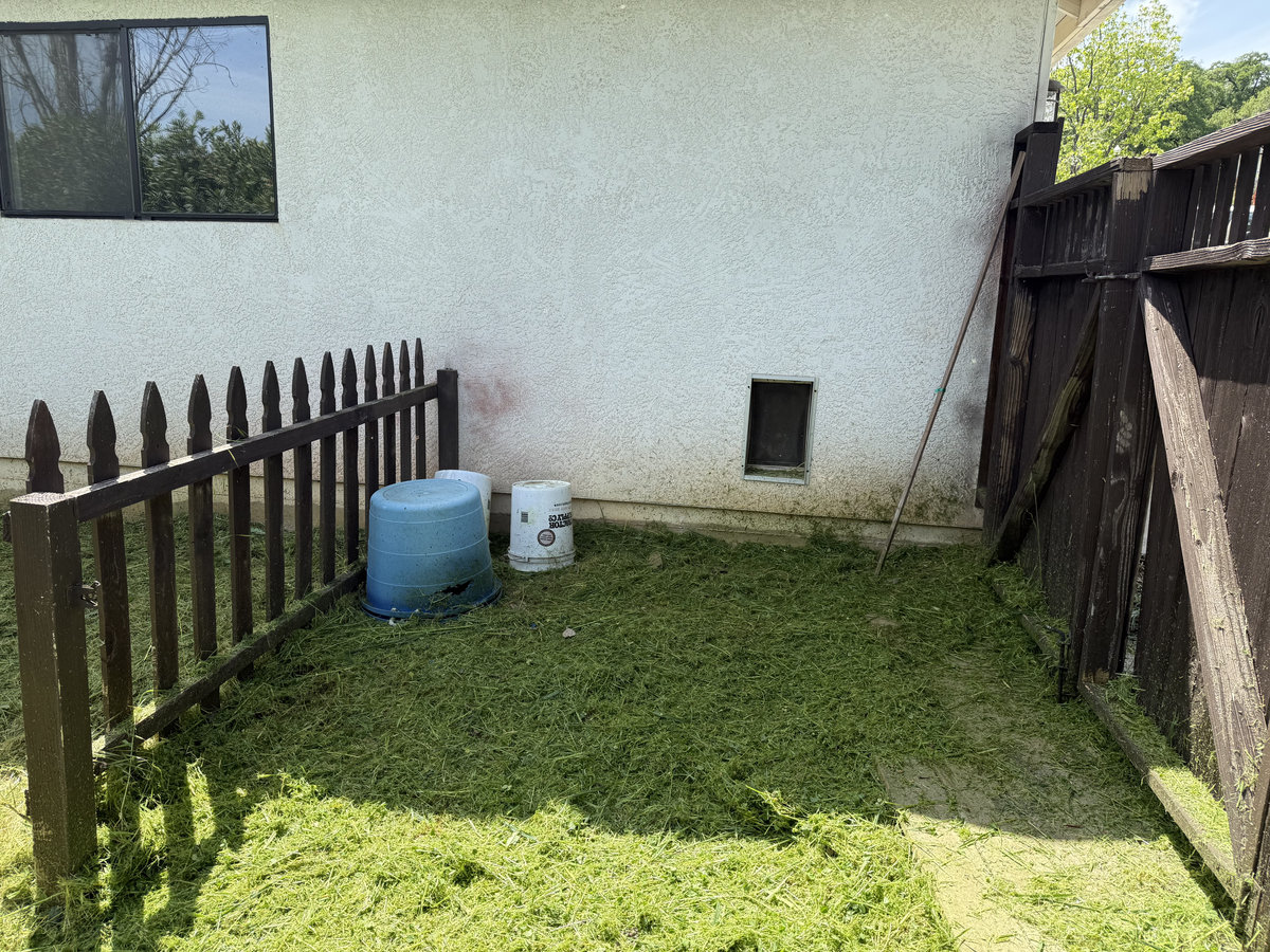 After: Property cleared of junk