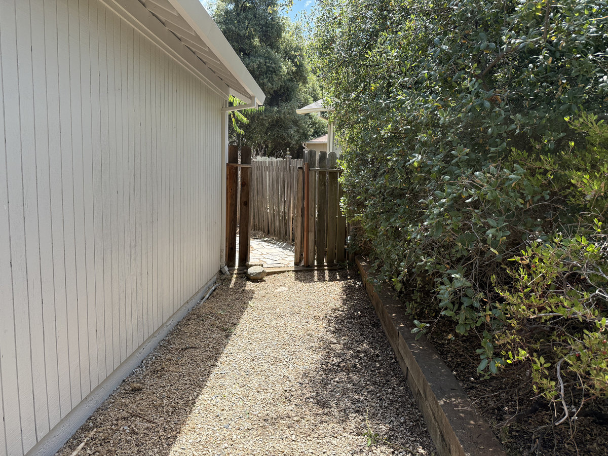 After: Lawn care transformation