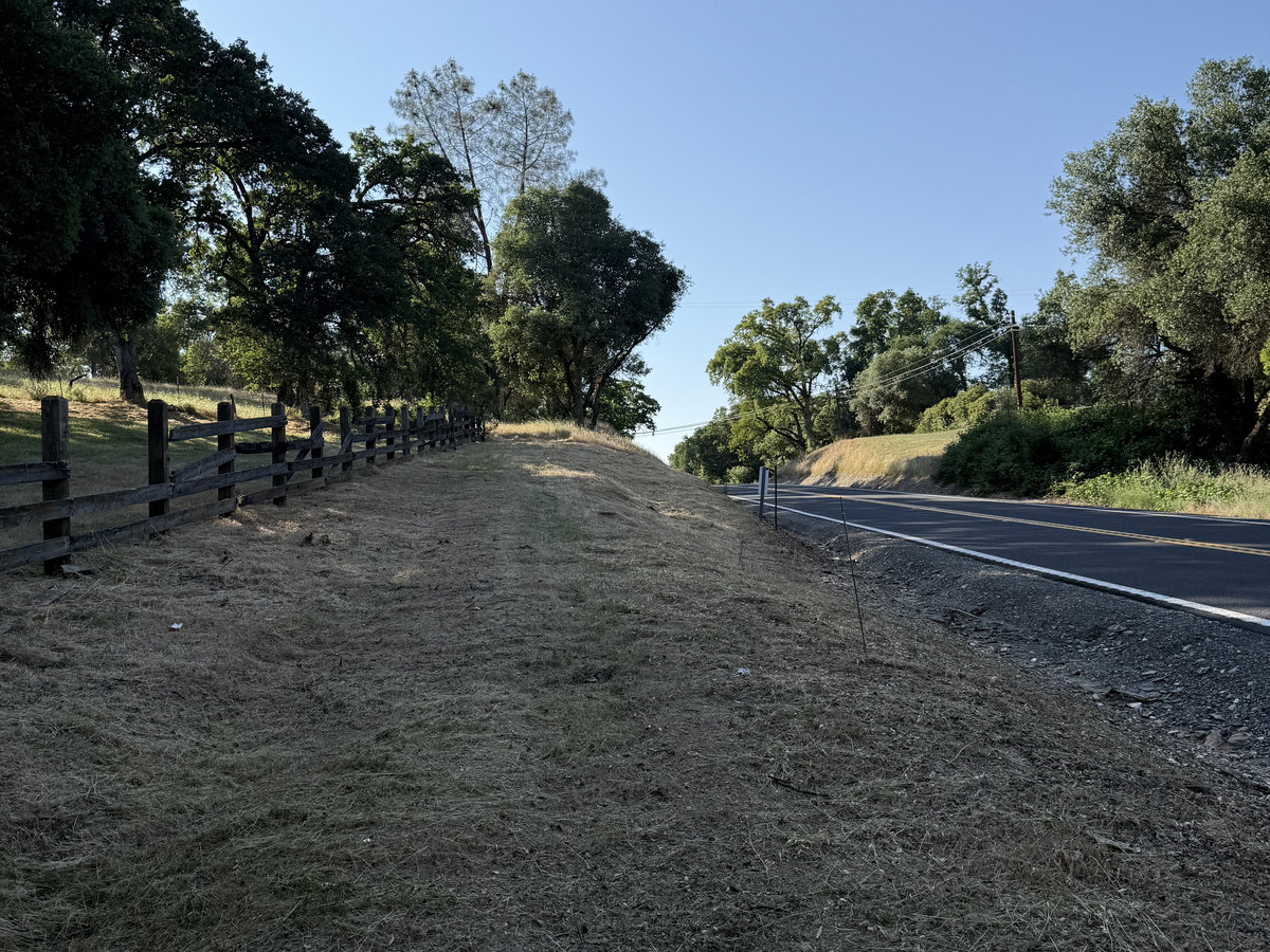 After: Roadside field cleared by Wacky Weedeating