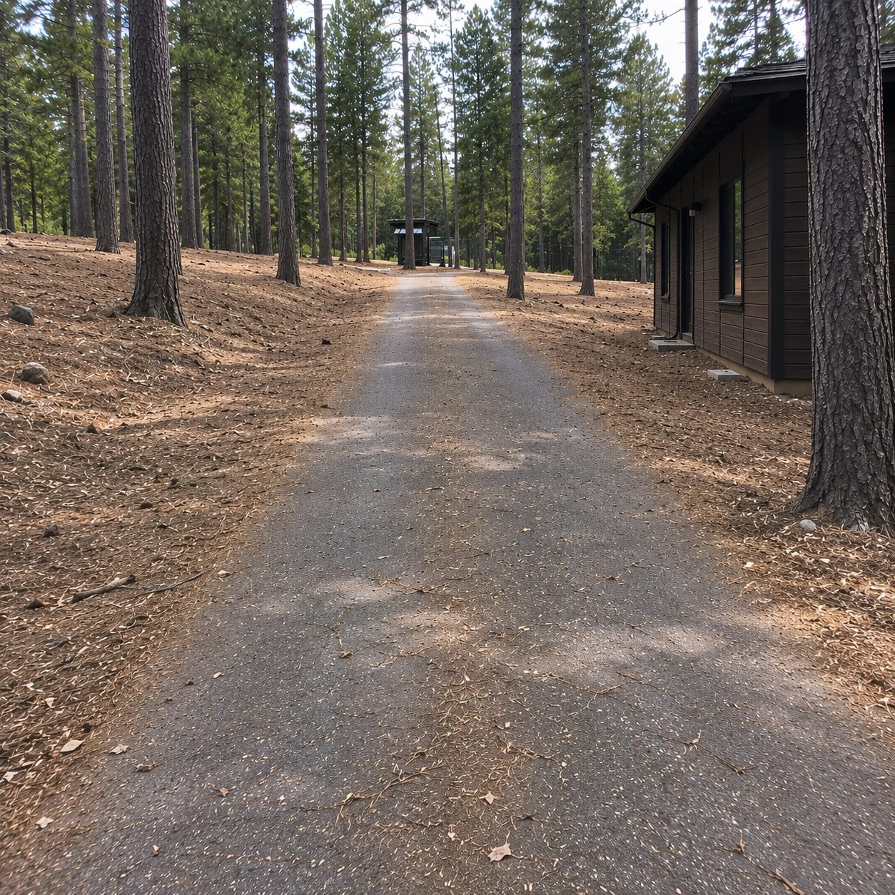 After clearing: 100 foot defensible space cleared by Wacky Weedeating