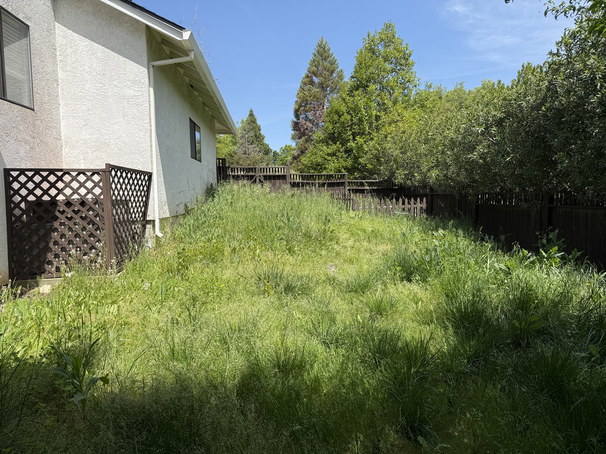 Before weedwacking by Wacky Weedeating in Tuolumne County