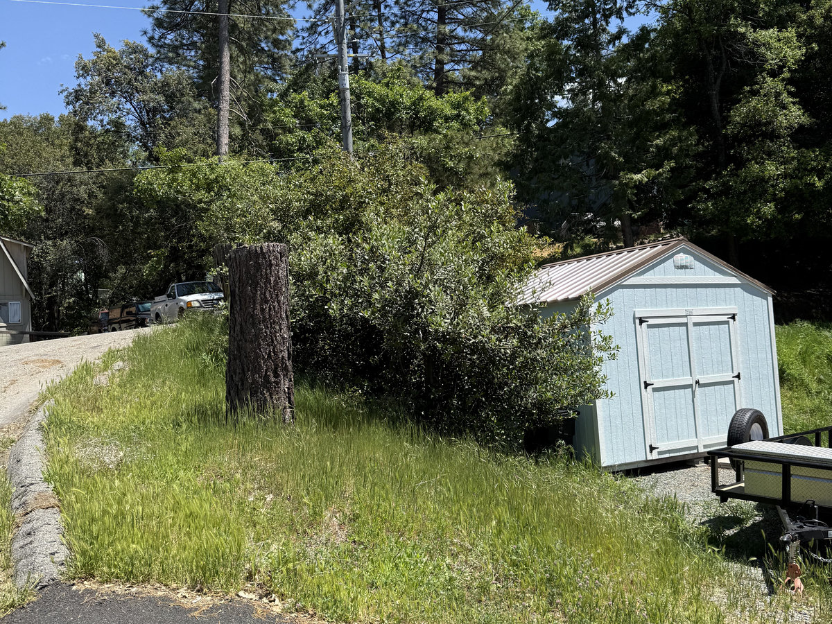 Before: Overgrown front yard needing mowing
