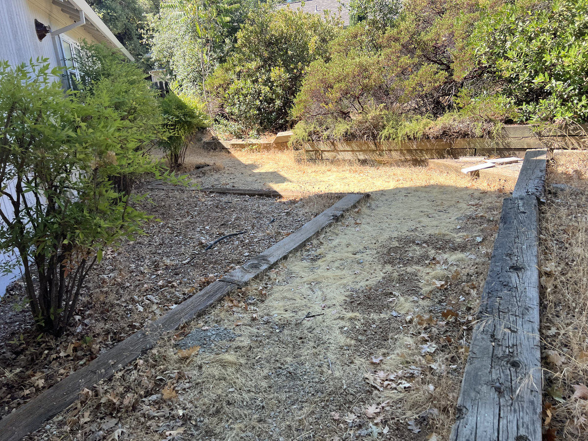 Before: Overgrown side yard with timber retaining wall
