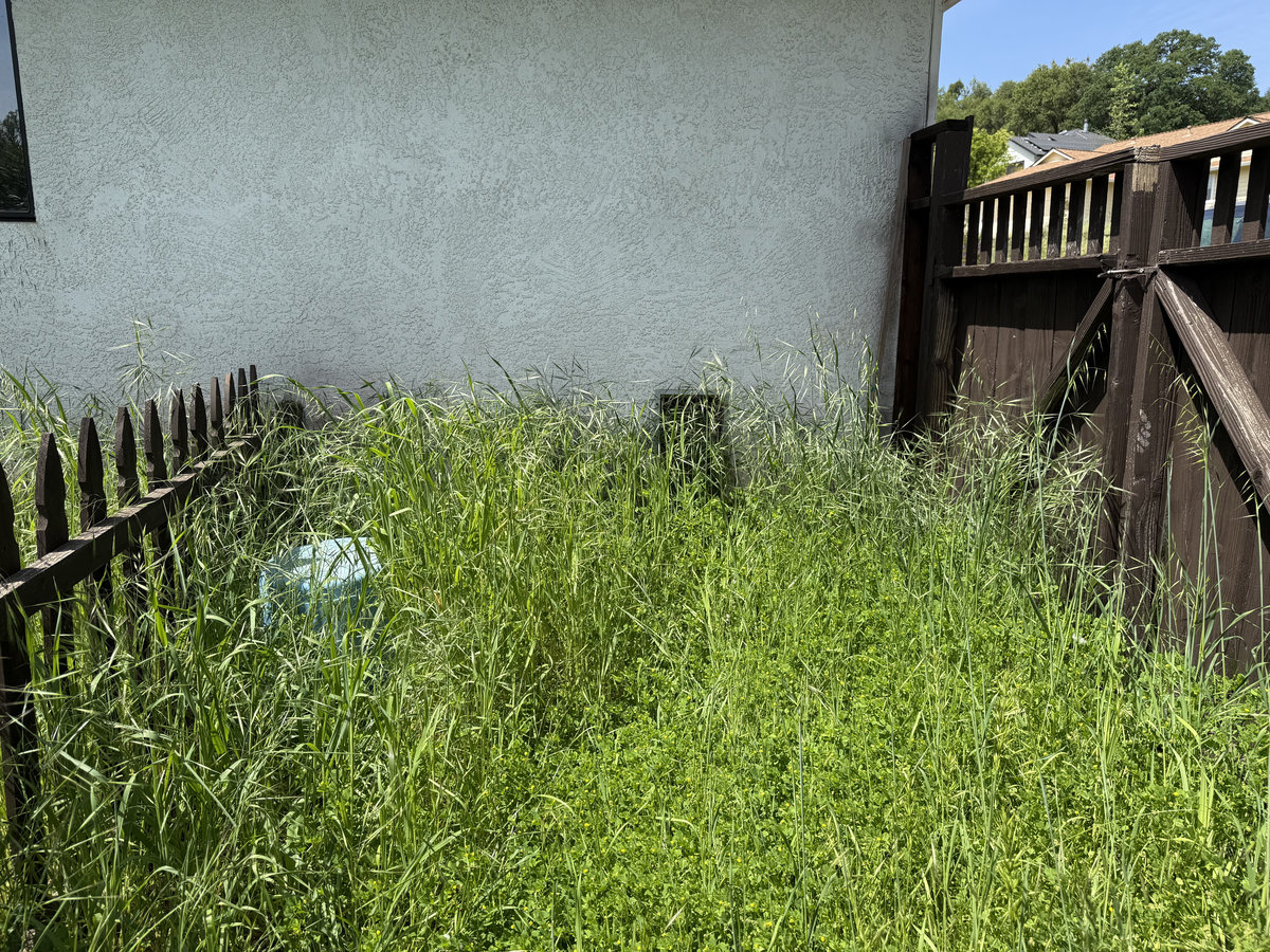 Before: Property with junk