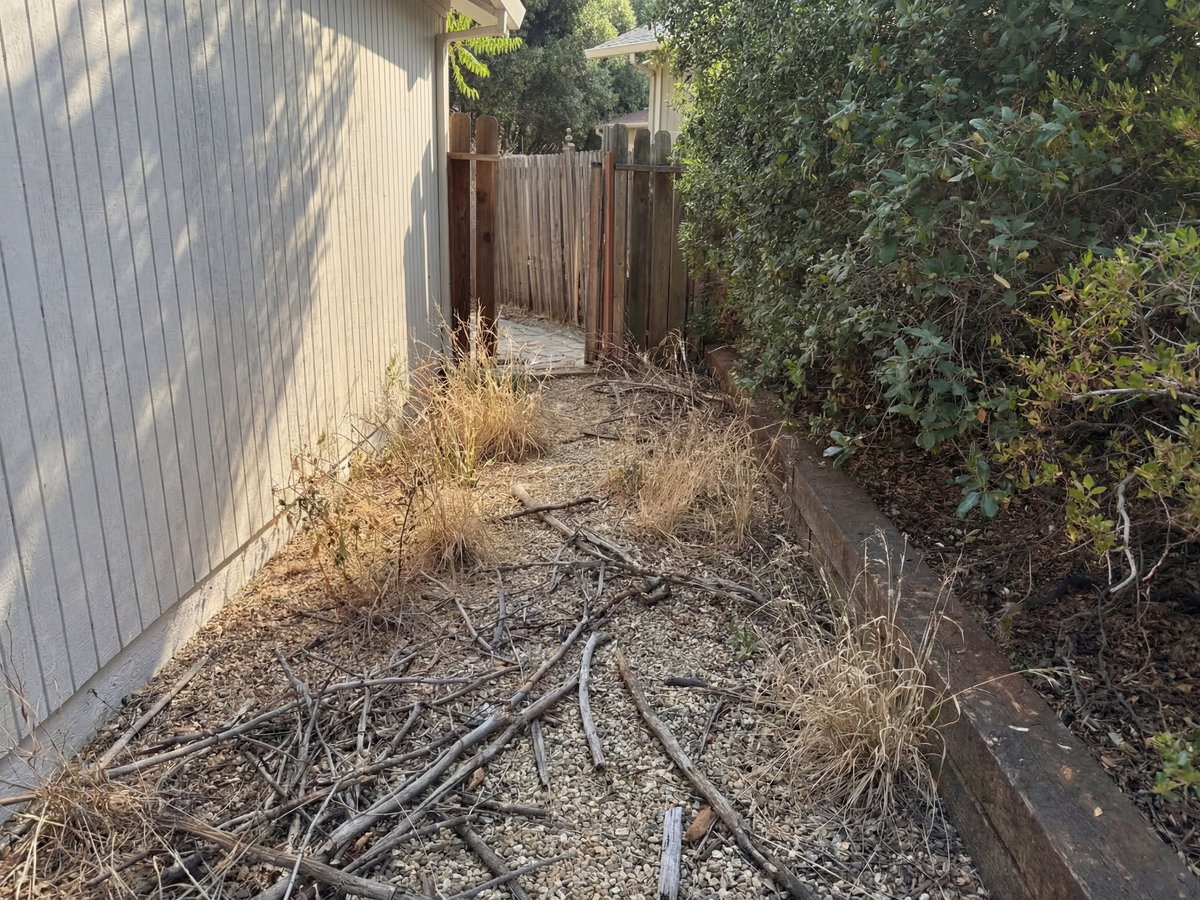 Before: Lawn needing care