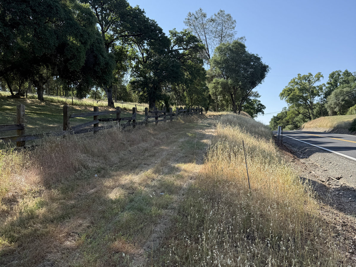 Before: Overgrown roadside field
