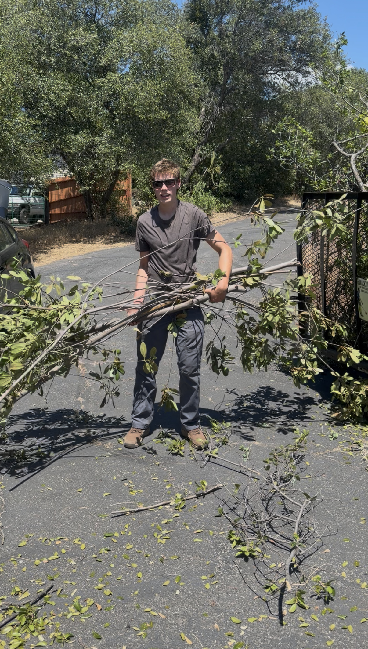 Hauling cut limbs and debris to the trailer
