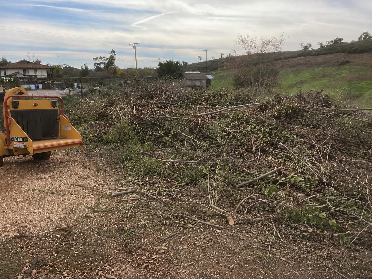 Wacky Weedeating brush chipper parked beside a large pile of cut branches ready for chipping