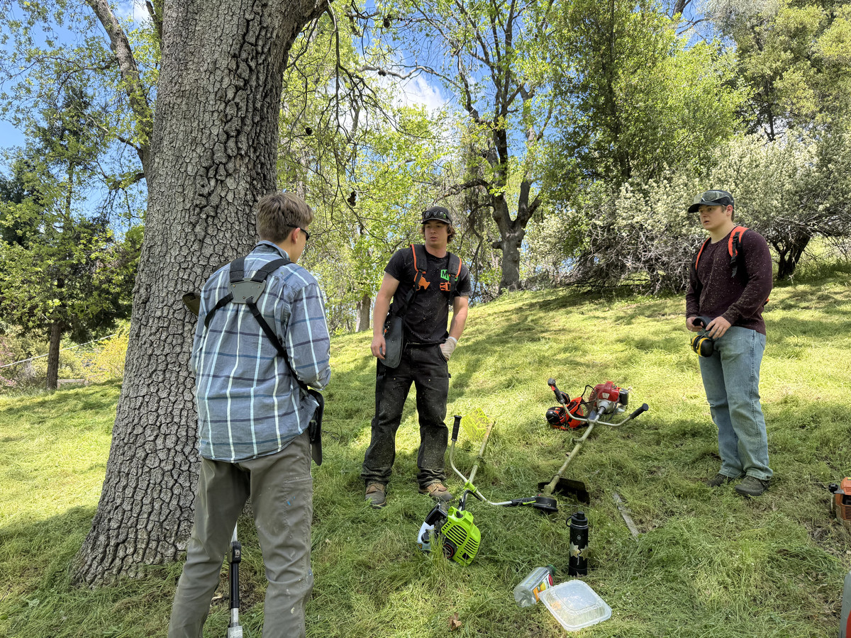 Wacky Weedeating crew with weed eaters on the job
