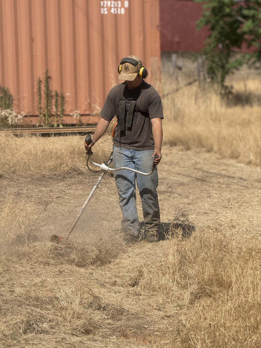 Crew member weed whacking in the field