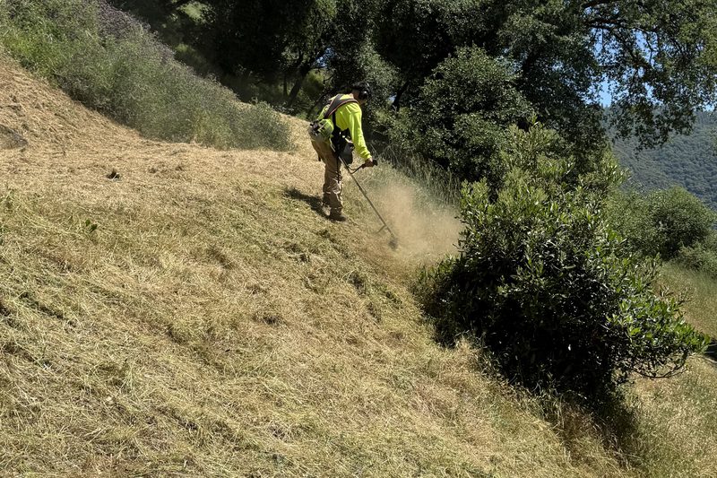Crew member in high visibility gear clearing brush on a steep hillside