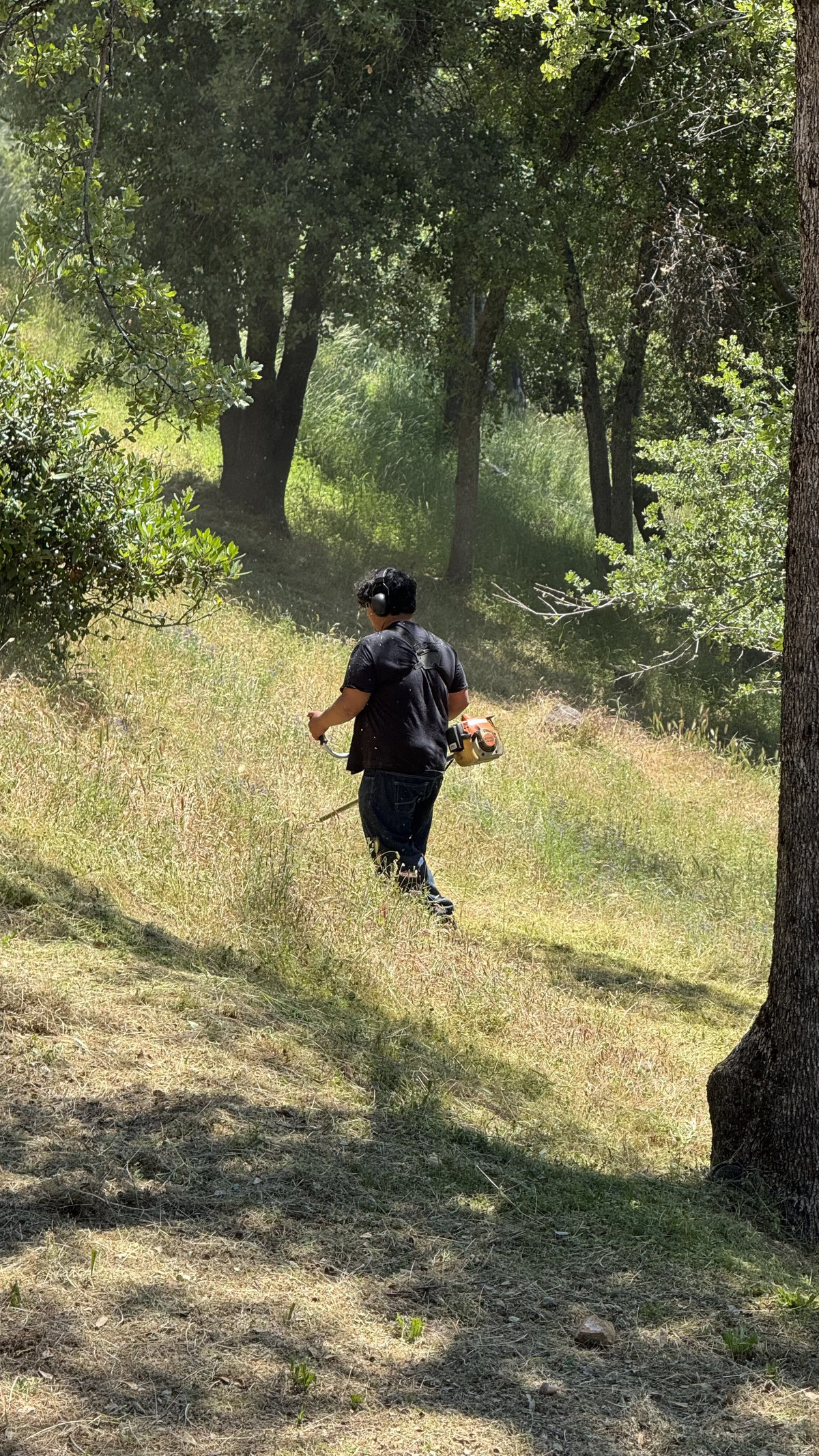 Crew member heading up hillside with weed eater