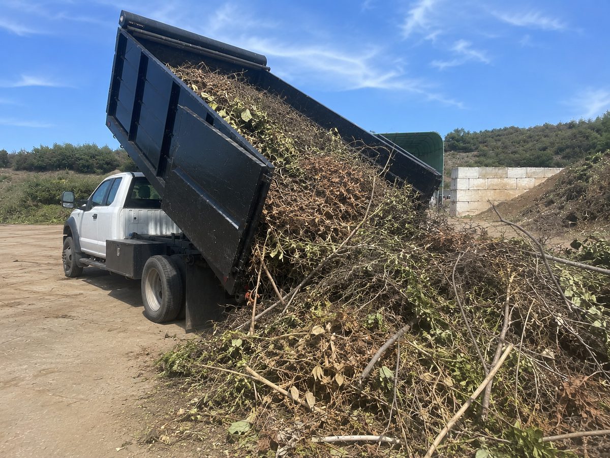 Wacky Weedeating dump truck offloading a load of cleared brush and green waste at the disposal site