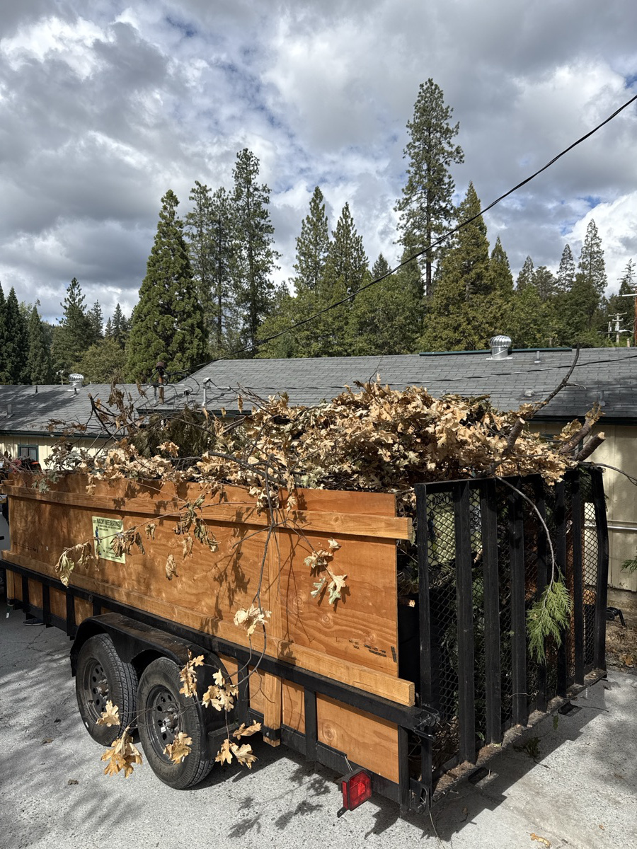 Wacky Weedeating trailer loaded with debris for junk removal