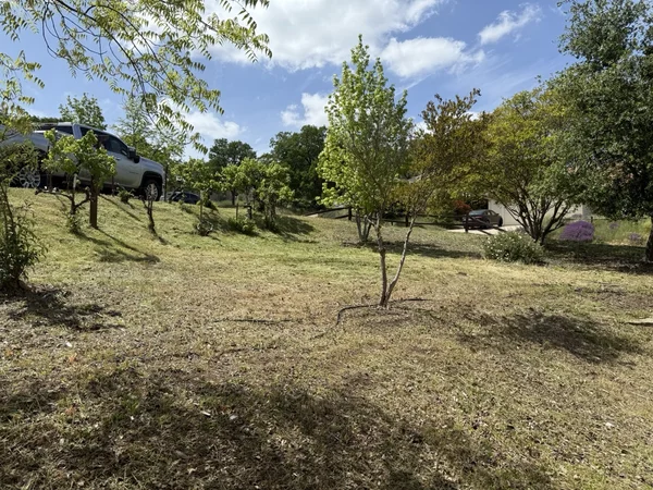 Yard tree trimming and shaping