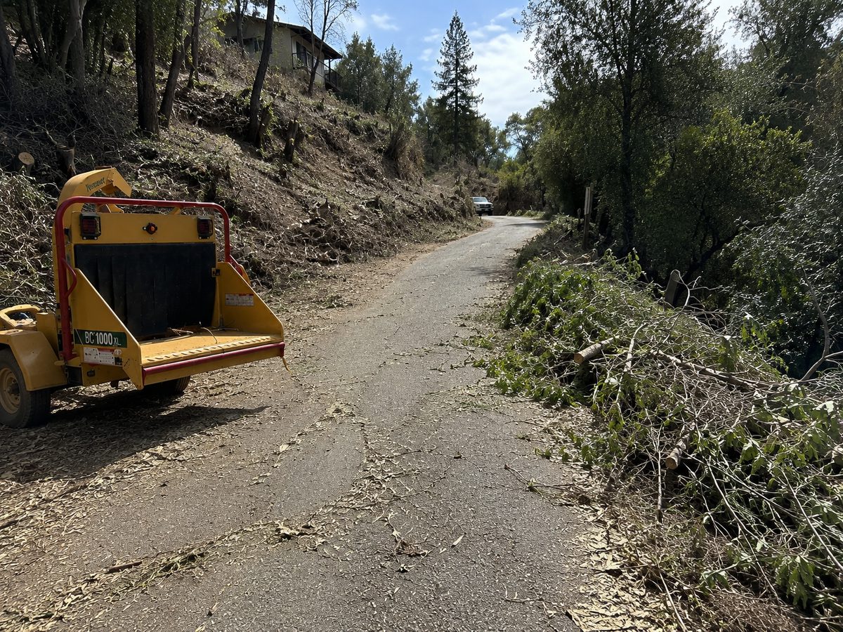 Wacky Weedeating brush chipper on a hillside access road cleared of roadside brush and overhanging limbs