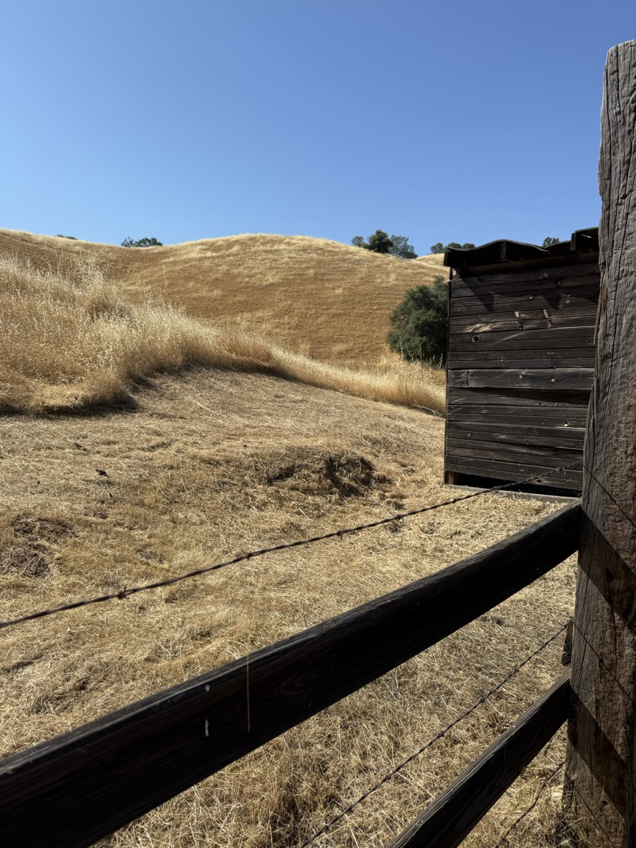 Fence line clearing and weed removal for defensible space